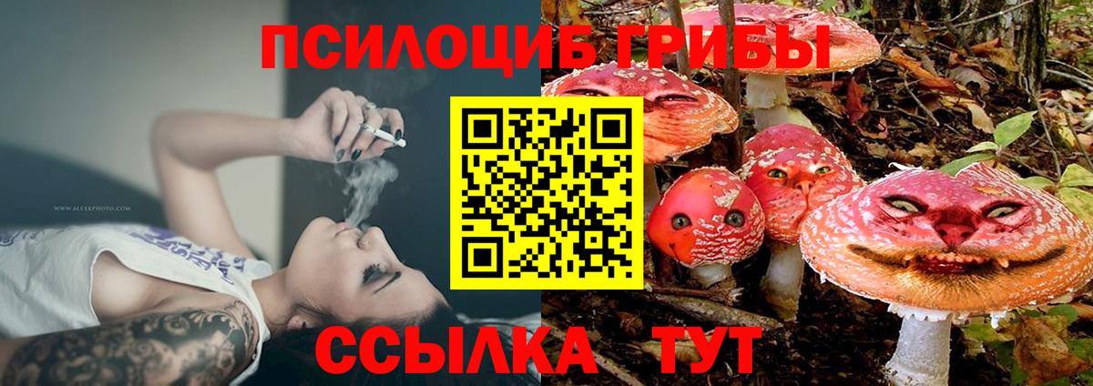 Белебей  Галлюциногенные грибы MAGIC MUSHROOMS  Вход с VPN  Псилоцибиновые грибы GOLDEN TEACHER 
