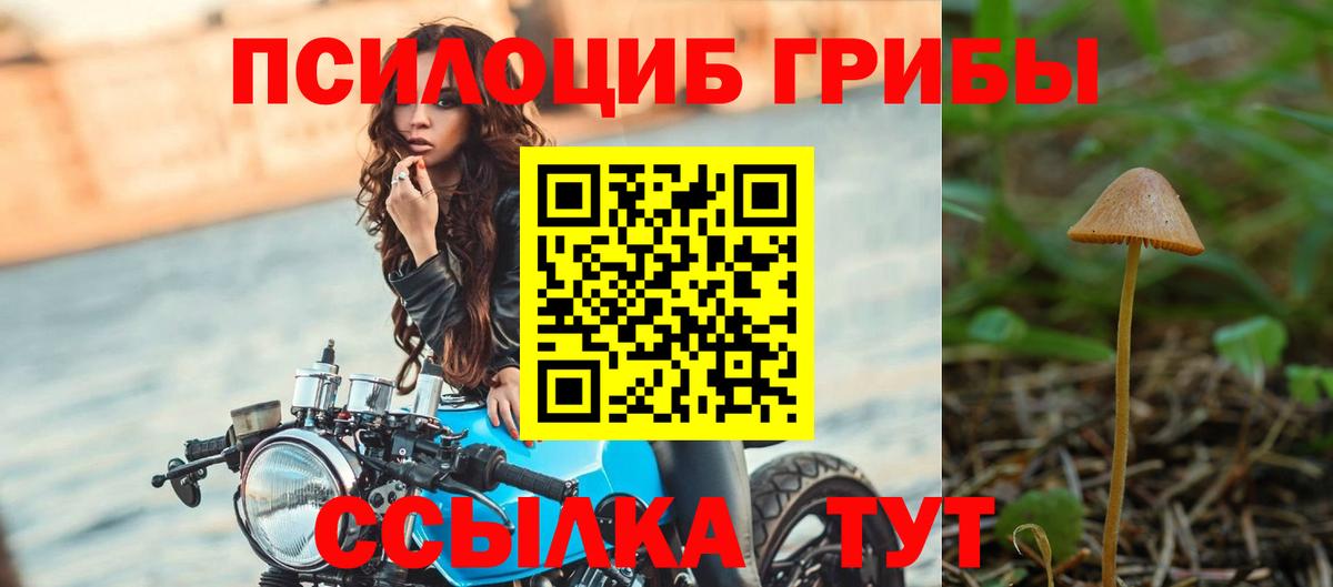 Псилоцибиновые грибы мицелий Белебей